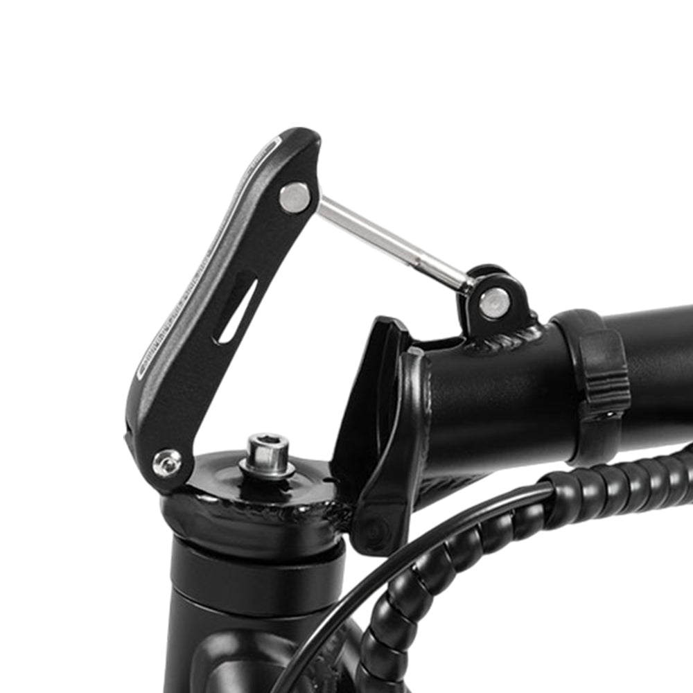 DYU C4 Folding Electric Scooter, 250W Motor, 36V 10AH Battery, 14 Inch Tires, 25km/h Max Speed, 42km Range, Front & Rear Disc Brakes