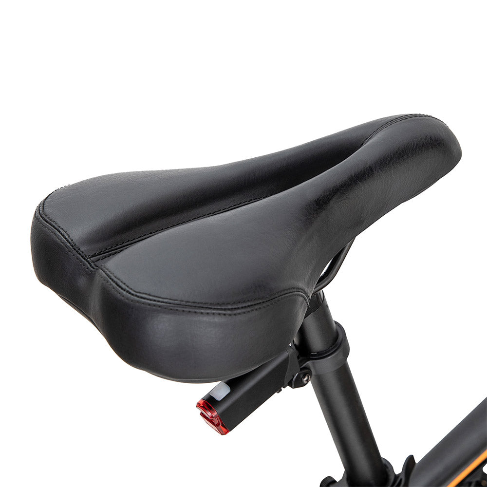 Fafrees Hailong One Electric Bike, 250W Motor, 36V/13Ah Battery, 26*2.1-inch CST Tires, 25km/h Max Speed, 100km Max Range, LCD Display, SHIMANO 21 Speed - Black