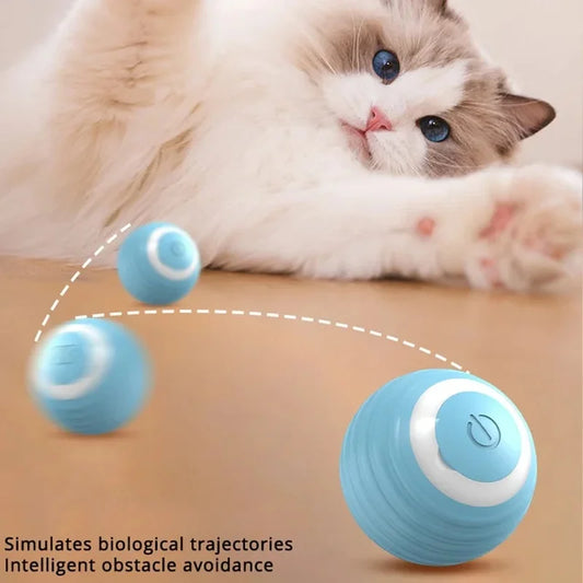 Pelota de juguete interactiva para gatos Rollo Cosas para mascotas Productos Oferta Suministros Juegos Accesorios para gatitos Katzen Gadgets Productos Artículos