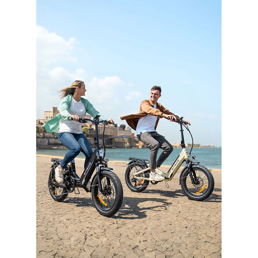 ENGWE L20 3.0 Boost Electric Bike, 250W Motor, 48V 13.5Ah Battery, 20*3.0 inch Tire, 135km Max Range, Hydraulic Brakes, Full Suspension, Torque Sensor, Shimano 7-speed - Golden