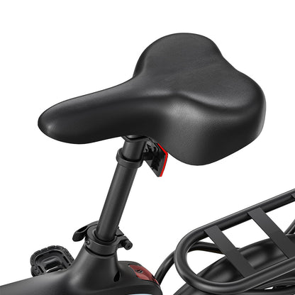 DYU C2 Electric Bike, 250W Motor, 48V 7.5Ah Battery, 16*2.5-inch Tires, 25km/h Max Speed, 40km Range, Dual Disc Brakes, LED Display