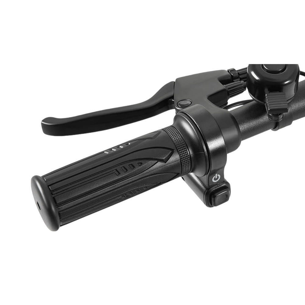 DYU C4 Folding Electric Scooter, 250W Motor, 36V 10AH Battery, 14 Inch Tires, 25km/h Max Speed, 42km Range, Front &amp; Rear Disc Brakes