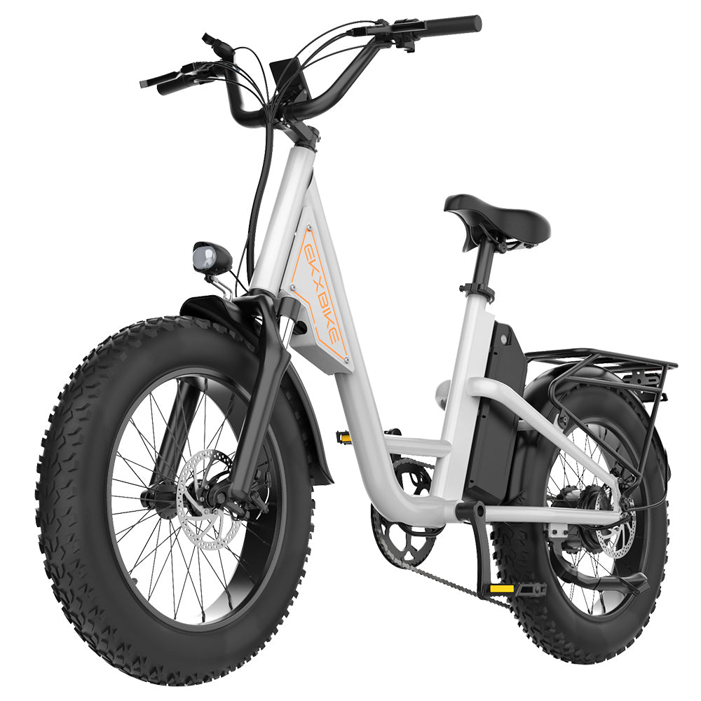 EKXBIKE L1 Electric Bike, 1000W Motor, 48V 15.6Ah Battery, 20*4 inch Fat Tire, 55km/h Max Speed, 80km Range, Disc Brake, Front &amp; Rear Suspension, Shimano 7-speed, LCD Display