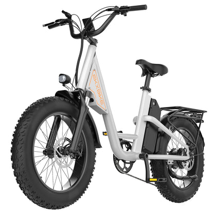 EKXBIKE L1 Electric Bike, 1000W Motor, 48V 15.6Ah Battery, 20*4 inch Fat Tire, 55km/h Max Speed, 80km Range, Disc Brake, Front &amp; Rear Suspension, Shimano 7-speed, LCD Display