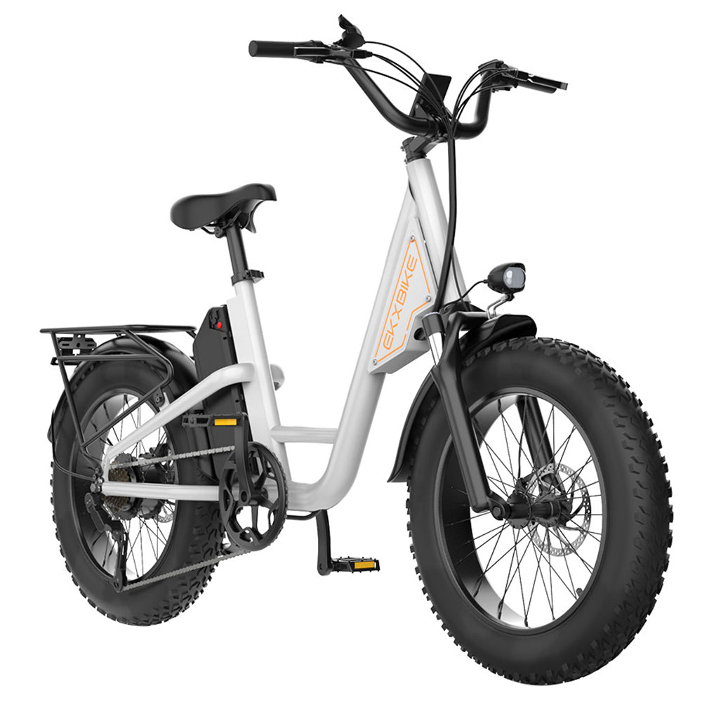 EKXBIKE L1 Electric Bike, 1000W Motor, 48V 15.6Ah Battery, 20*4 inch Fat Tire, 55km/h Max Speed, 80km Range, Disc Brake, Front &amp; Rear Suspension, Shimano 7-speed, LCD Display
