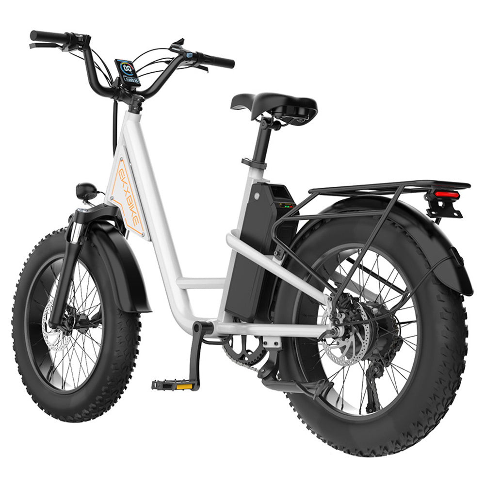 EKXBIKE L1 Electric Bike, 1000W Motor, 48V 15.6Ah Battery, 20*4 inch Fat Tire, 55km/h Max Speed, 80km Range, Disc Brake, Front &amp; Rear Suspension, Shimano 7-speed, LCD Display