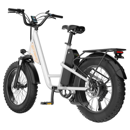 EKXBIKE L1 Electric Bike, 1000W Motor, 48V 15.6Ah Battery, 20*4 inch Fat Tire, 55km/h Max Speed, 80km Range, Disc Brake, Front &amp; Rear Suspension, Shimano 7-speed, LCD Display