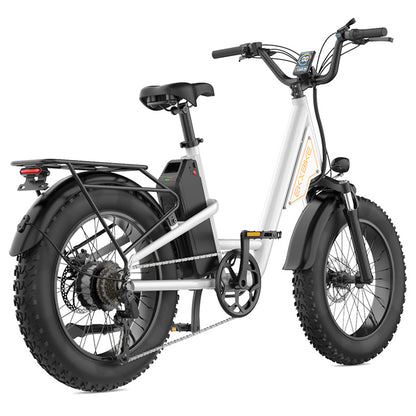 EKXBIKE L1 Electric Bike, 1000W Motor, 48V 15.6Ah Battery, 20*4 inch Fat Tire, 55km/h Max Speed, 80km Range, Disc Brake, Front &amp; Rear Suspension, Shimano 7-speed, LCD Display