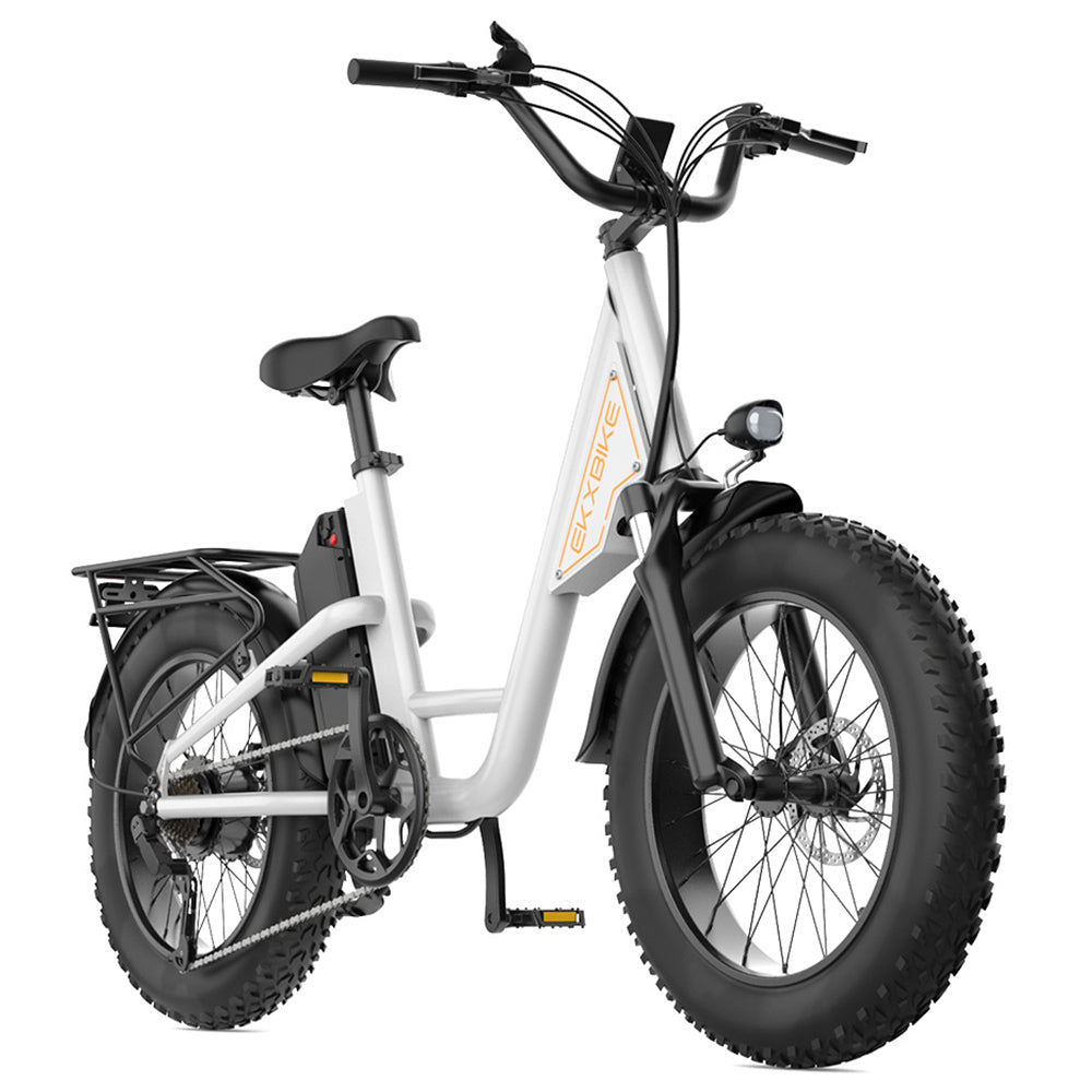 EKXBIKE L1 Electric Bike, 1000W Motor, 48V 15.6Ah Battery, 20*4 inch Fat Tire, 55km/h Max Speed, 80km Range, Disc Brake, Front &amp; Rear Suspension, Shimano 7-speed, LCD Display