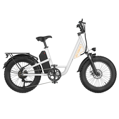 EKXBIKE L1 Electric Bike, 1000W Motor, 48V 15.6Ah Battery, 20*4 inch Fat Tire, 55km/h Max Speed, 80km Range, Disc Brake, Front &amp; Rear Suspension, Shimano 7-speed, LCD Display