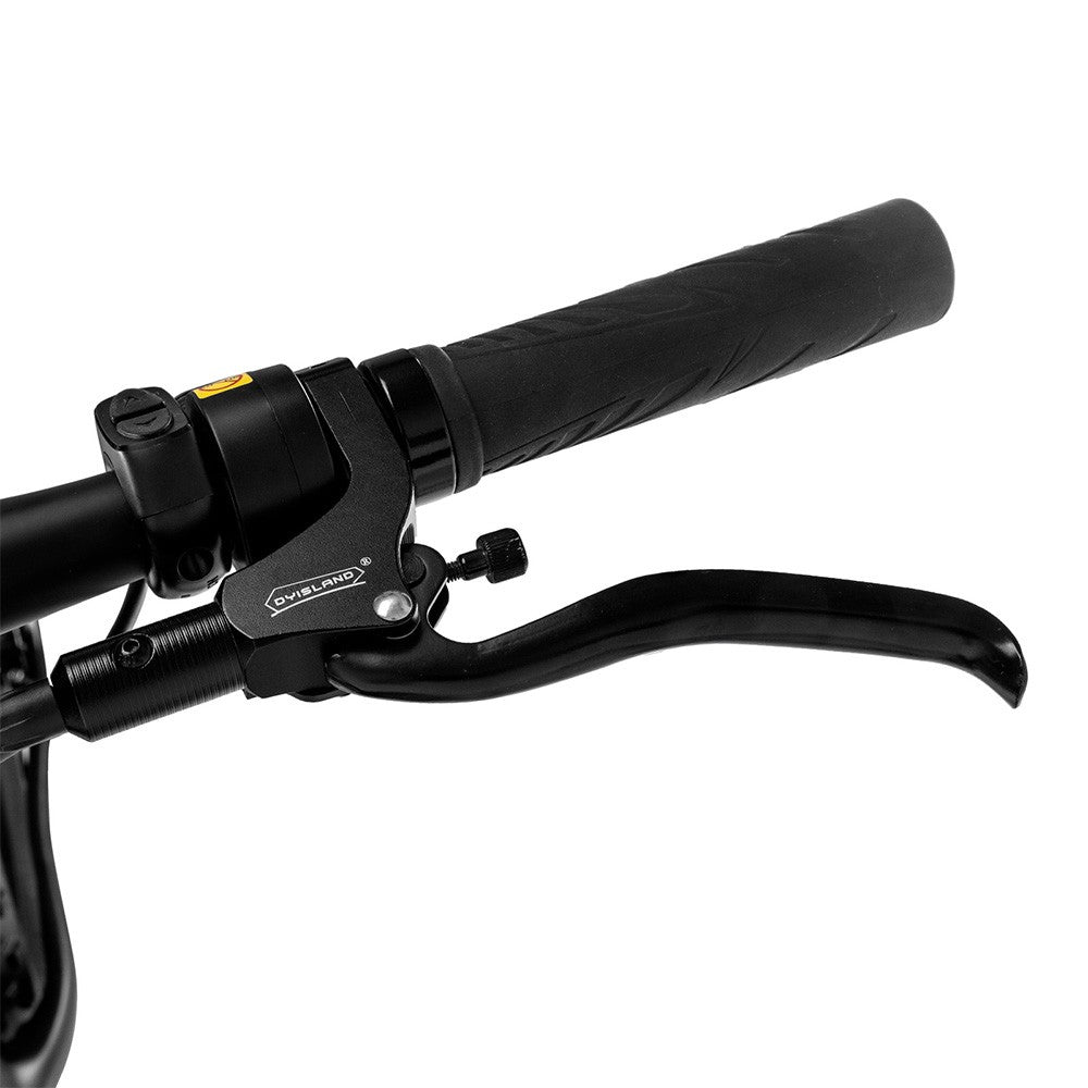 Fafrees F26 Carbon M E-bike 26*4.8 inch Air Tire 1000W Rear Drive 25km/h Max Speed 48V 22.5Ah Battery 120-140km Assist Range