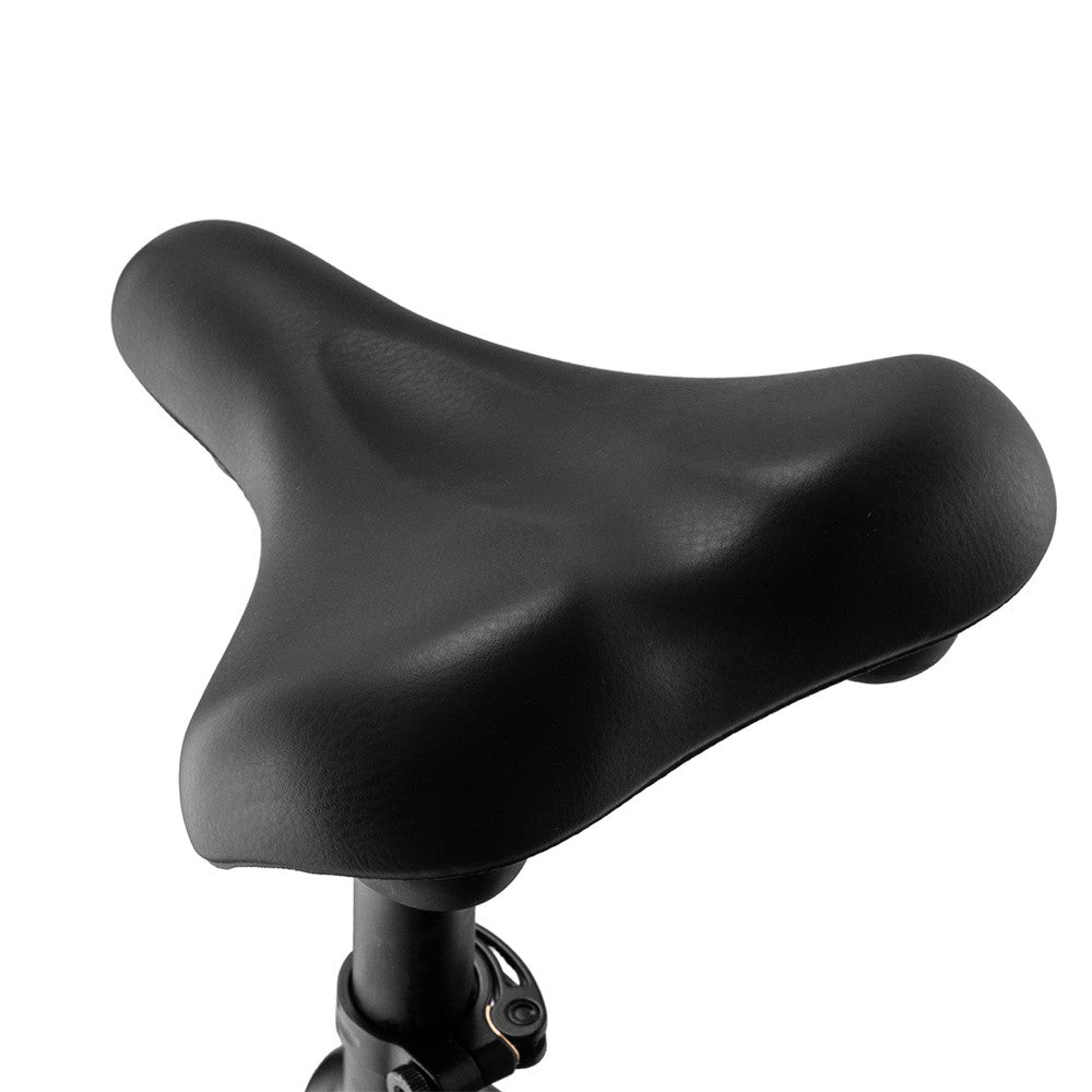 Fafrees F26 Carbon X E-bike 26*4.8 inch Air Tire 1000W Rear Drive 25km/h Max Speed 48V 22.5Ah Battery 120-140km Assist Range