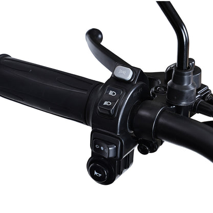 Freejoyer FV6 Max Electric Tricycle, 1800W Motor, 72V 20Ah Battery, 10*3 inch Tire, 25km/h Max Speed, 60km Range, Front Disc Brake &amp; Rear Drum Brake, Hydraulic Front Fork - Black