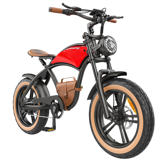 Hidoes B10 Electric Bike, 1000W Motor, 48V 13Ah Battery, 20 x4.0 inch Fat Tire, 45km/h Max Speed, 60km Range, Dual Mechanical Disc Brakes, Hydraulic Front Fork