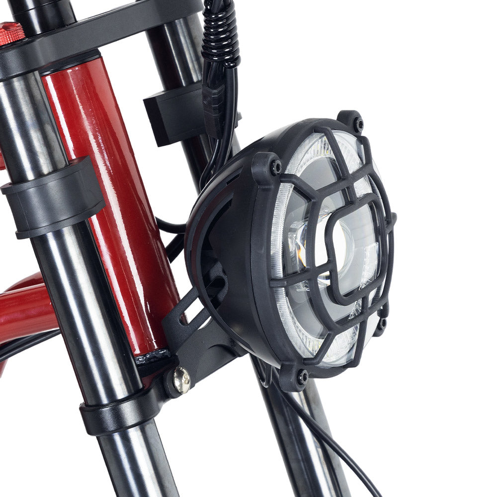 Hidoes B6 Electric Bike, 1200W Motor, 48V 15Ah Battery, 20"x4" Fat Tires, 50km/h Max Speed, 75km Range, Front &amp; Rear Oil Disc Brakes, Hydraulic Shock Absorber - Red