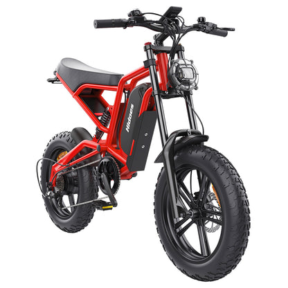 Hidoes B6 Electric Bike, 1200W Motor, 48V 15Ah Battery, 20"x4" Fat Tires, 50km/h Max Speed, 75km Range, Front &amp; Rear Oil Disc Brakes, Hydraulic Shock Absorber - Red