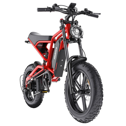 Hidoes B6 Electric Bike, 1200W Motor, 48V 15Ah Battery, 20"x4" Fat Tires, 50km/h Max Speed, 75km Range, Front &amp; Rear Oil Disc Brakes, Hydraulic Shock Absorber - Red