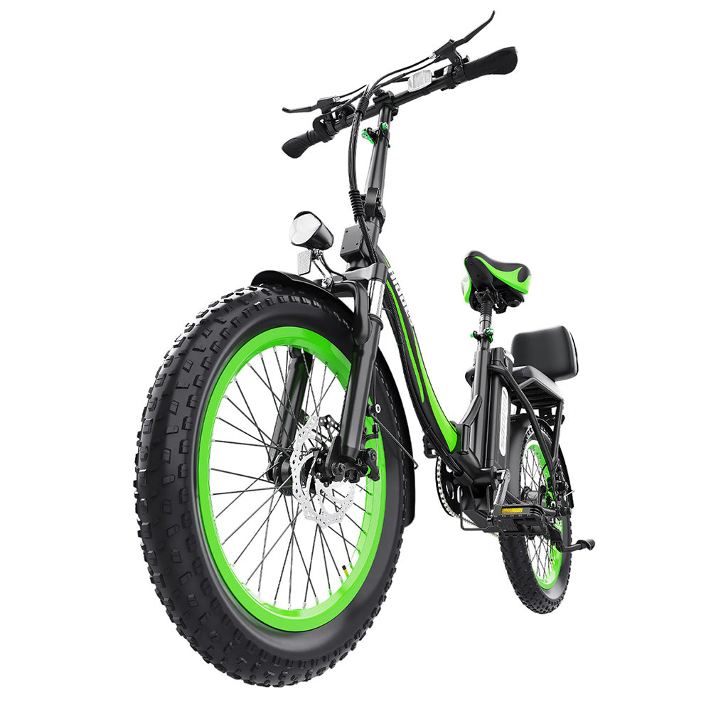 Hidoes C1 Electric Bike with Rear Seat, 750W Motor, 48V 13Ah Battery, 20*3.0 inch Fat Tire, 40km/h Max Speed, 70km Range, Front &amp; Rear Disc Brake - Green