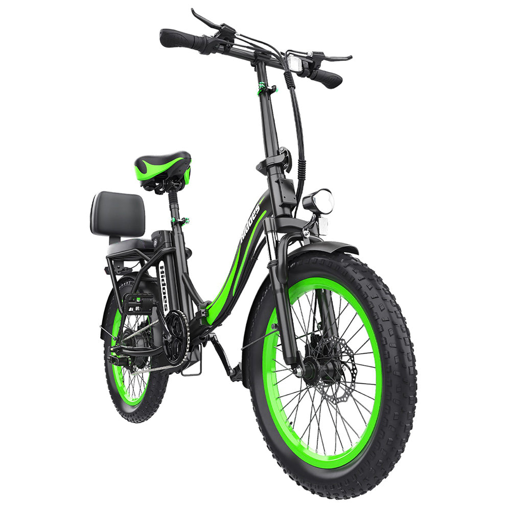 Hidoes C1 Electric Bike with Rear Seat, 750W Motor, 48V 13Ah Battery, 20*3.0 inch Fat Tire, 40km/h Max Speed, 70km Range, Front &amp; Rear Disc Brake - Green