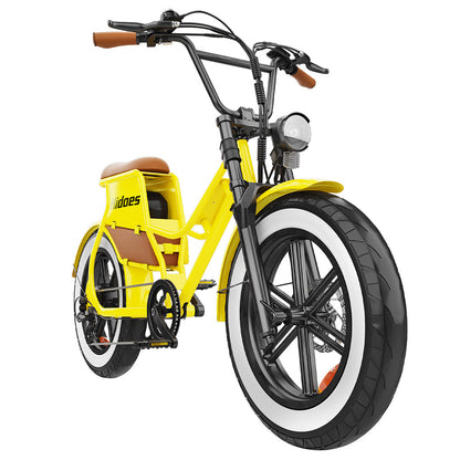 Hidoes C8 Electric Bike, 700W Motor, 48V 17Ah Battery, 20*4.0 inch Fat Tire, 40km/h Max Speed, 55km Range, Front &amp; Rear Disc Brakes, Hydraulic Spring Damping, Shimano 7-speed