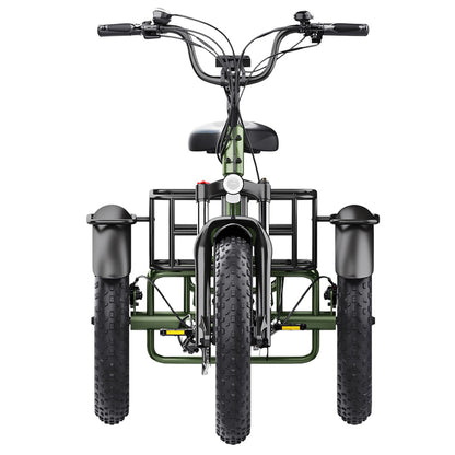 Hidoes HD-ET1 Electric Tricycle with Rear Rack 150kg Load, 750W 85NM torque Rear Drive Motor, 960Wh (48V 20Ah) Removable Battery Max 65km Range, 20*4.0-inch Tire, 3* Disc Brake, Front Lockable Suspension, 7 Gear Reverse and Park Button