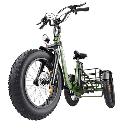 Hidoes HD-ET1 Electric Tricycle with Rear Rack 150kg Load, 750W 85NM torque Rear Drive Motor, 960Wh (48V 20Ah) Removable Battery Max 65km Range, 20*4.0-inch Tire, 3* Disc Brake, Front Lockable Suspension, 7 Gear Reverse and Park Button