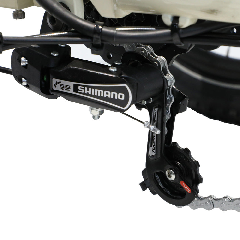 ONESPORT OT30 Electric Cargo Tricycle, 500W Motor, 48V 13Ah Battery, 20*3.0 inch Tire, 25km/h Max Speed, 80km Range, Hydraulic Disc Brakes, Shock Absorbing Fork, 180kg Max Load - Beige