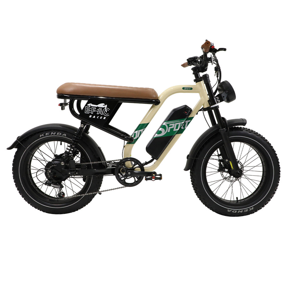ONESPORT W66 Electric Bike, 500W Motor, 48V 13.5Ah Battery, 20*4.0 inch Tire, 25km/h Max Speed, 100km Range, Front &amp; Rear Hydraulic Disc Brakes, Shock Absorbing Front Fork, 7-speed Transmission