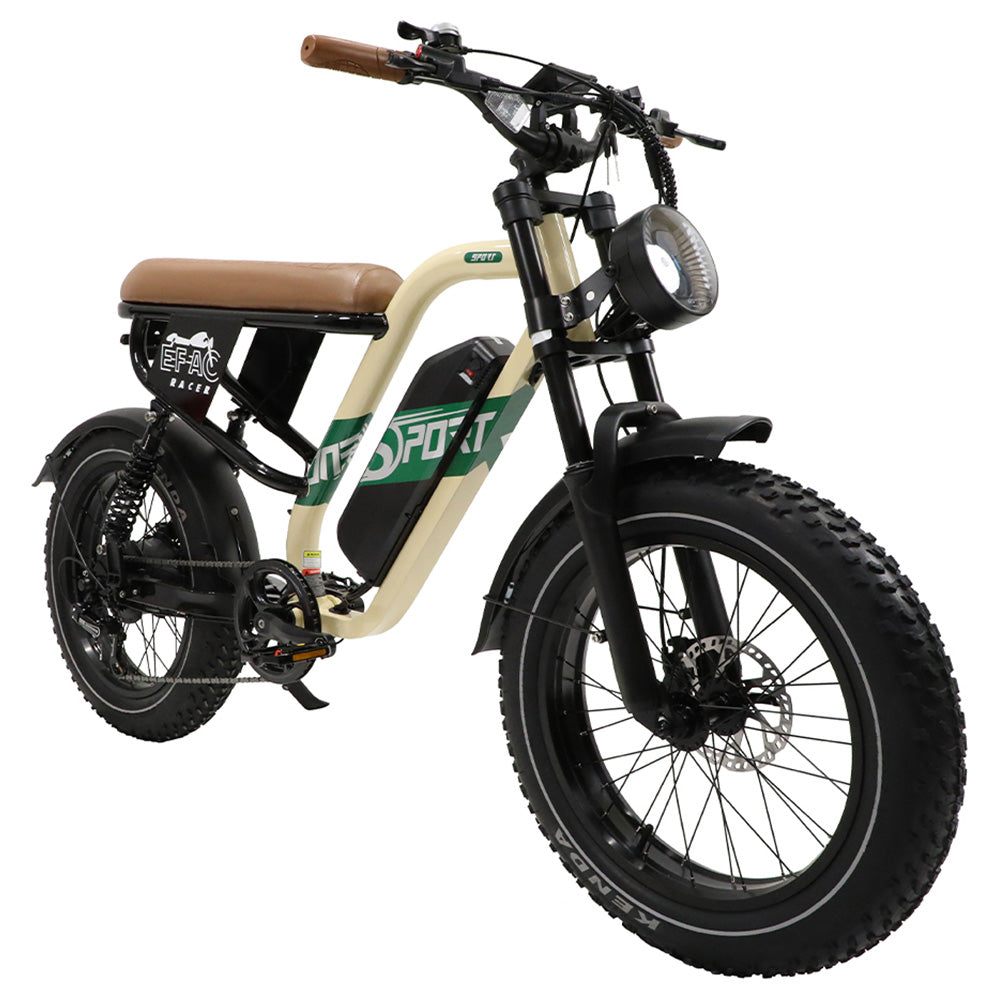 ONESPORT W66 Electric Bike, 500W Motor, 48V 13.5Ah Battery, 20*4.0 inch Tire, 25km/h Max Speed, 100km Range, Front &amp; Rear Hydraulic Disc Brakes, Shock Absorbing Front Fork, 7-speed Transmission