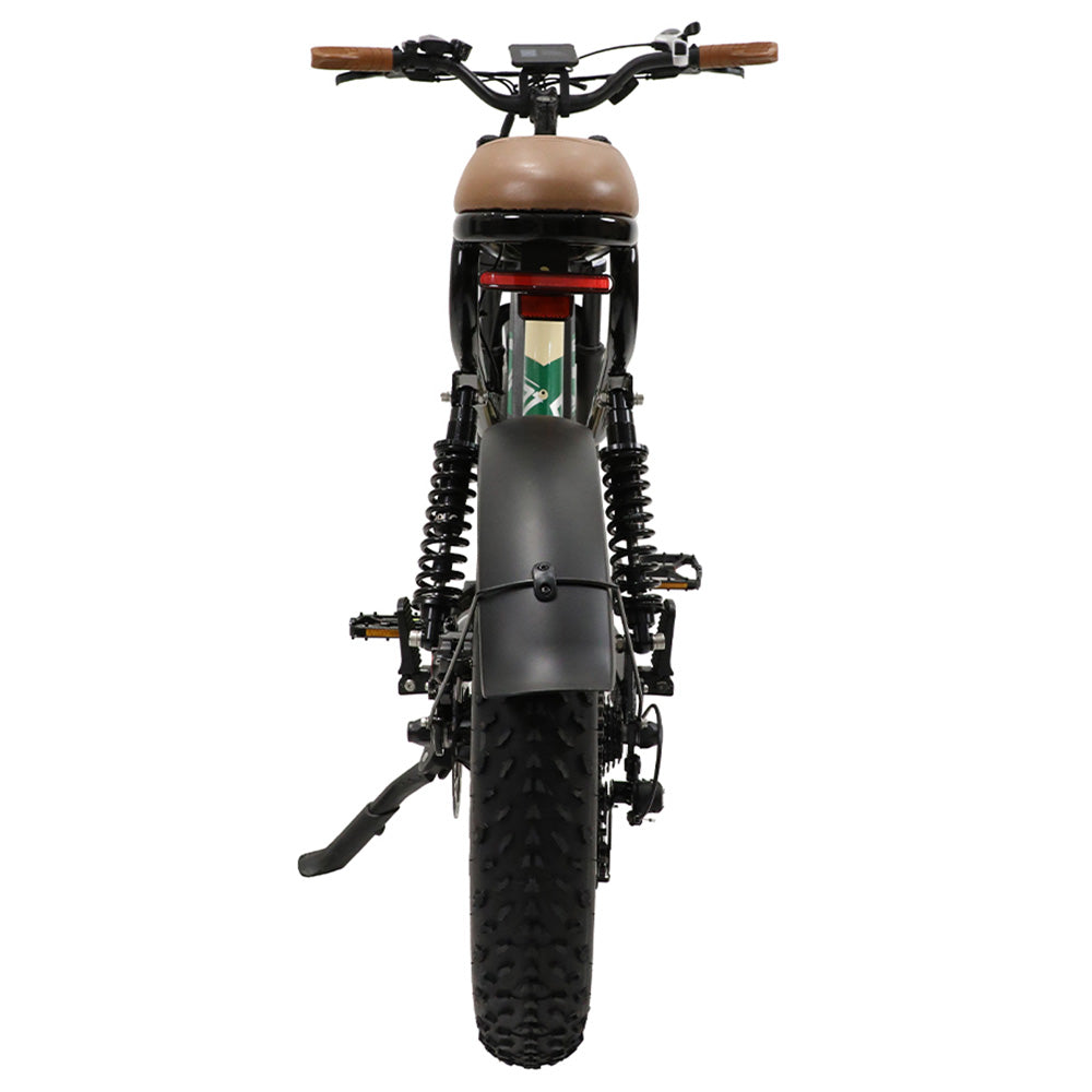 ONESPORT W66 Electric Bike, 500W Motor, 48V 13.5Ah Battery, 20*4.0 inch Tire, 25km/h Max Speed, 100km Range, Front &amp; Rear Hydraulic Disc Brakes, Shock Absorbing Front Fork, 7-speed Transmission