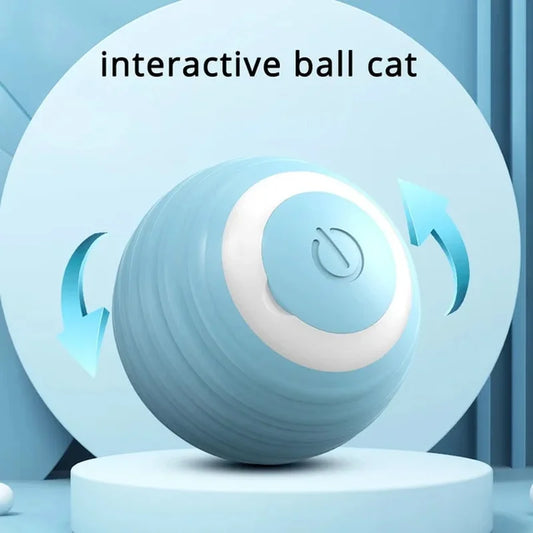Pelota de juguete interactiva para gatos Rollo Cosas para mascotas Productos Oferta Suministros Juegos Accesorios para gatitos Katzen Gadgets Productos Artículos