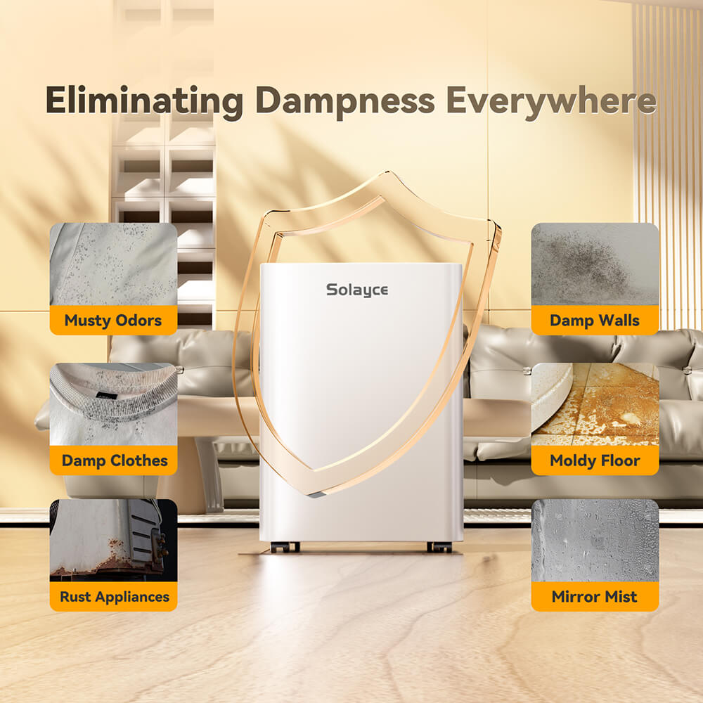 Solayce PD16R-02EE Dehumidifier 16L/24h, 3.2L Large Water Tank, Digital Humidity Display, Coverage Area 50㎡(538 sq. ft), 24H Timer, Ideal for Laundry Drying, Bedroom, Basement, Garage &amp; Kitchen