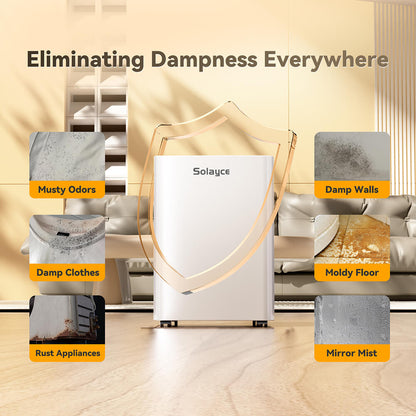 Solayce PD16R-02EE Dehumidifier 16L/24h, 3.2L Large Water Tank, Digital Humidity Display, Coverage Area 50㎡(538 sq. ft), 24H Timer, Ideal for Laundry Drying, Bedroom, Basement, Garage &amp; Kitchen