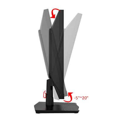 TITAN ARMY P2510H Gaming Monitor, 24.5'' HVA Fast LCD Panel, 1920*1080, 240Hz Refresh Rate, 1ms GTG, HDR10, 99%sRGB, Adaptive-Sync, Dynamic OD, Ultra-Fast Game Mode, 10 Scene Modes, PBP &amp; PIP Split-screen Display, Low Blue Light, VESA Wall Mounting