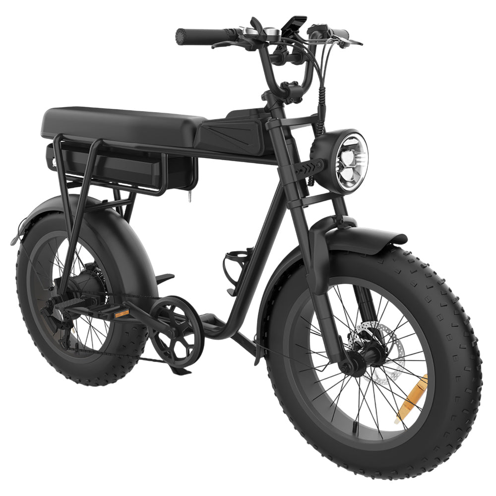 YAMALI FXH-006 Electric Bike, 350W Motor, 48V 18Ah Battery, 20*4'' Fat Tires, 40km/h Max Speed, 50km Range, Shimano 7 Speed, Front &amp; Rear Mechanical Disc Brakes, Shimano 7 Speed, LCD Display - Black