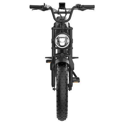 YAMALI FXH-006 Electric Bike, 350W Motor, 48V 18Ah Battery, 20*4'' Fat Tires, 40km/h Max Speed, 50km Range, Shimano 7 Speed, Front &amp; Rear Mechanical Disc Brakes, Shimano 7 Speed, LCD Display - Black