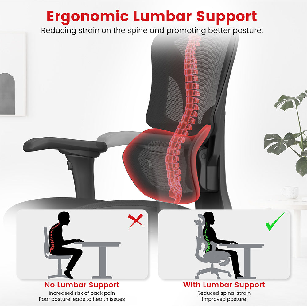 ACGAM CG-5658M Ergonomic Gaming Office Chair with 4D Adjustable Armrest, Lumbar Support, Adjustable Headrest
