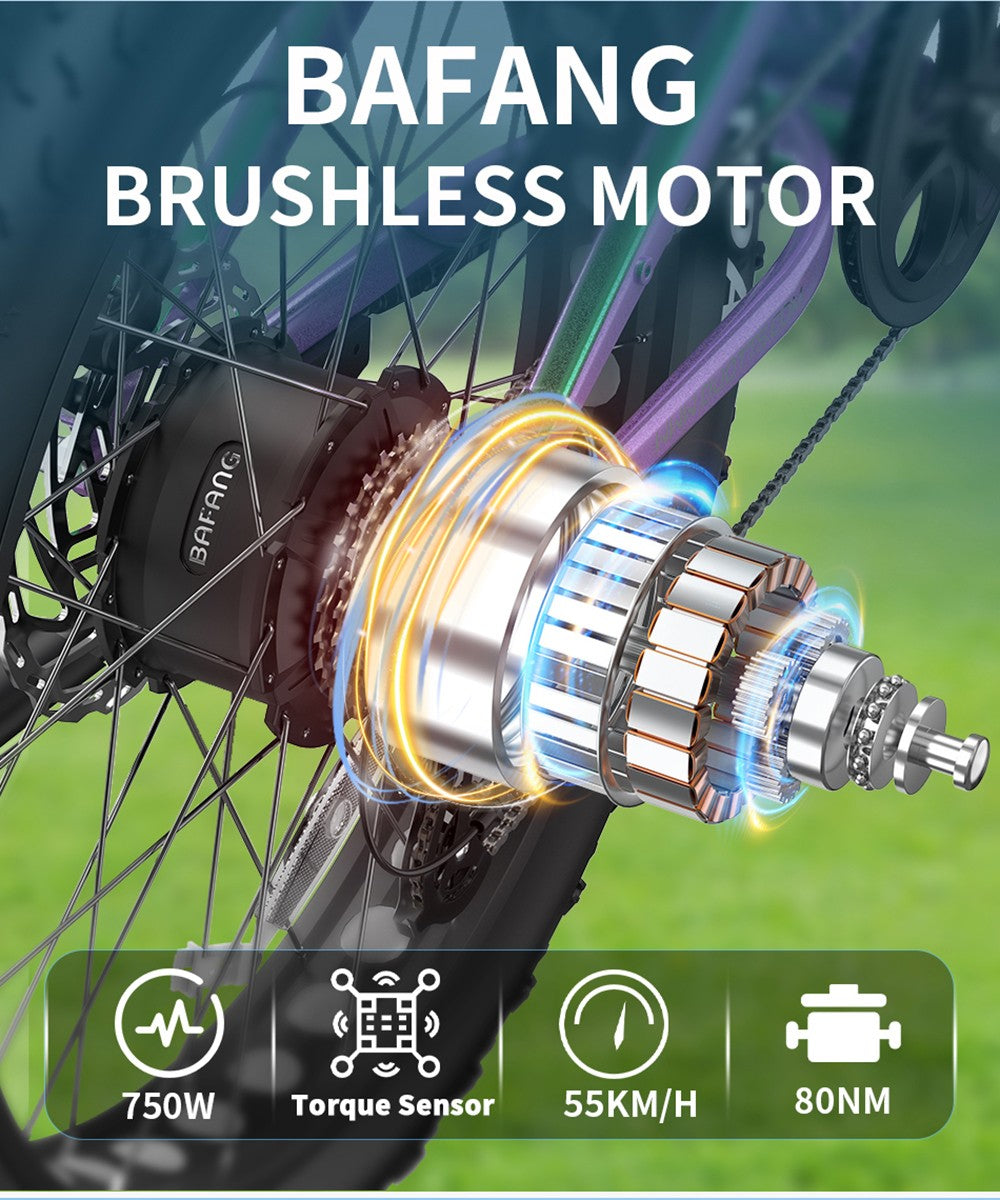 DUOTTS E26 Elektrofahrrad, 750-W-Motor, 48-V-20-Ah-Akku, 26 x 4,0-Zoll-Reifen, 55 km/h Höchstgeschwindigkeit, 120 km Reichweite, hydraulische Scheibenbremsen, Vorder- und Hinterradfederung, Shimano 8-Gang-Schaltung – Grün/Lila
