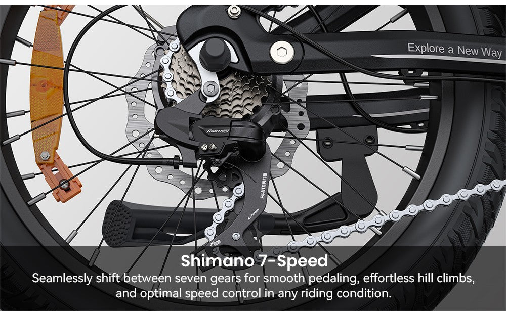 ENGWE L20 3.0 Boost Elektrofahrrad, 250-W-Motor, 48-V-13,5-Ah-Akku, 20 x 3,0-Zoll-Reifen, 135 km maximale Reichweite, hydraulische Bremsen, Vollfederung, Drehmomentsensor, Shimano 7-Gang-Schaltung – Gold
