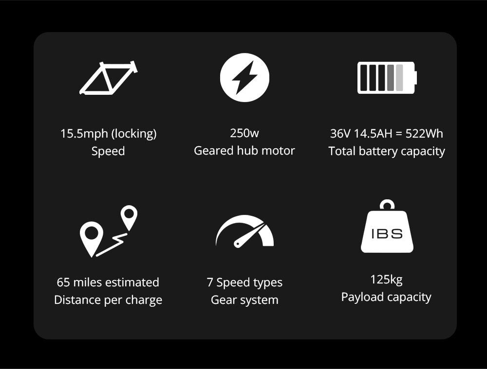 ESKUTE Netuno Elektrofahrrad mit 250-W-Hinterradnabenmotor und 14,5-Ah-Akku für bis zu 105 km Reichweite – Citybike