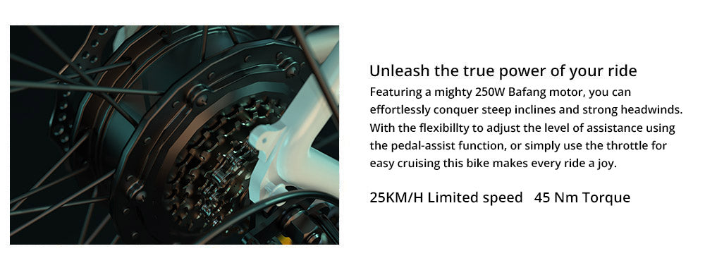 ESKUTE Polluno Plus Elektrofahrrad, 250-W-Motor, 36-V-20-Ah-Akku, 26 x 1,75 Zoll Laufräder, 25 km/h Höchstgeschwindigkeit, 100 km Reichweite, mechanische Scheibenbremsen, Shimano 7-Gang-Schaltung – Weiß