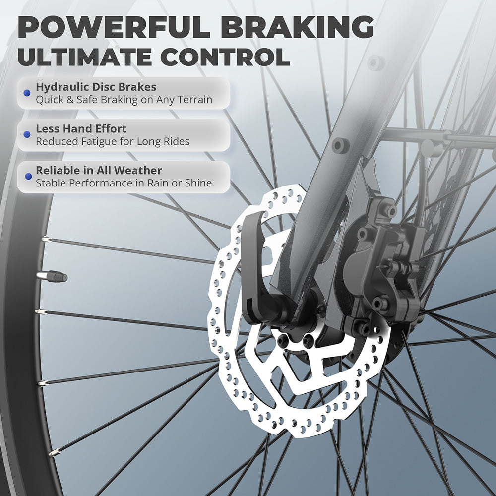 Bicicleta eléctrica Fafrees F700M, motor de 250 W, batería de 36 V y 10 Ah, neumáticos 700*42C, velocidad máxima de 25 km/h, autonomía máxima de 100 km, frenos de disco hidráulicos, sensor de par, SHIMANO CUES de 9 velocidades - Negra