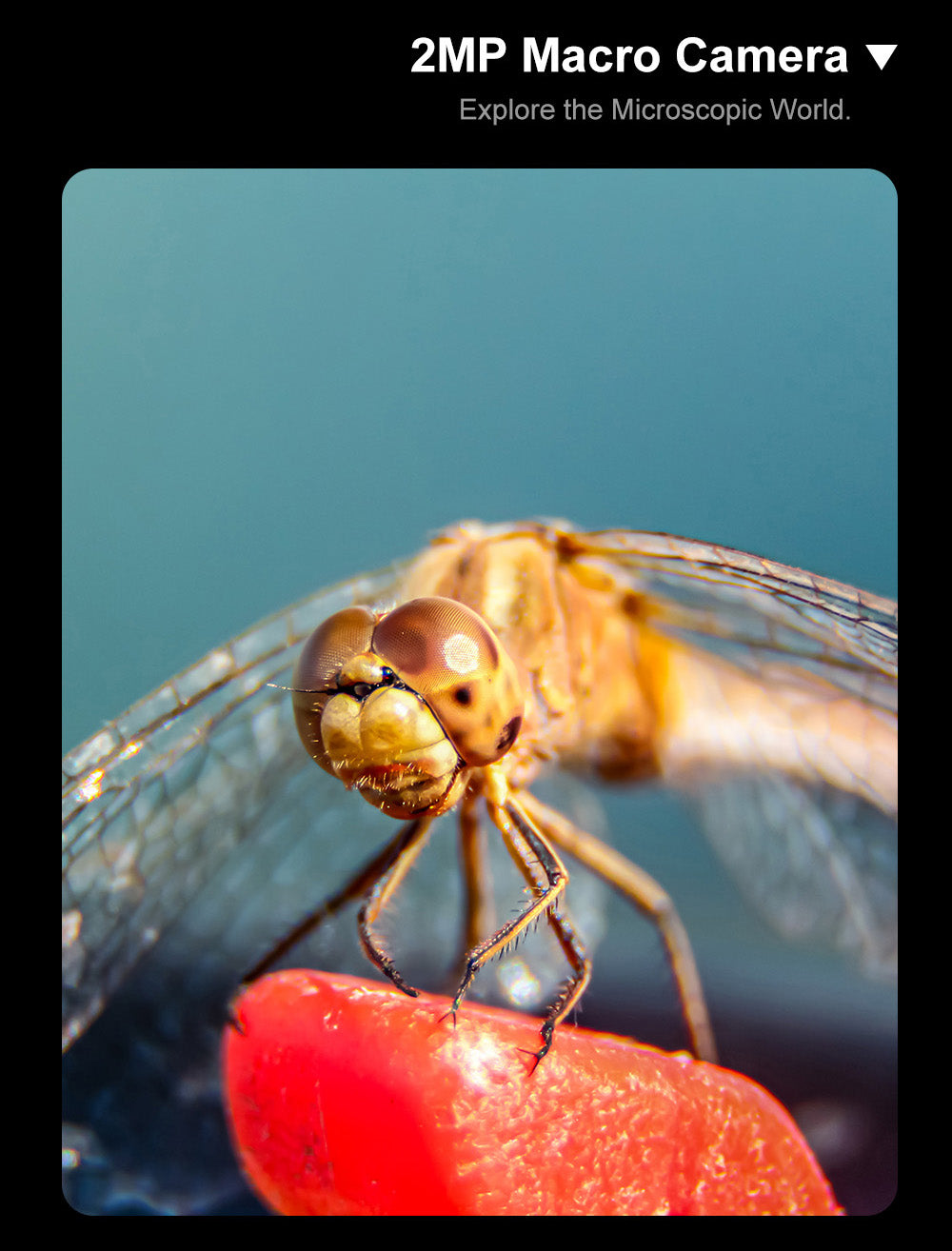 Teléfono inteligente FOSSiBOT S3 Pro 4G, 6.67