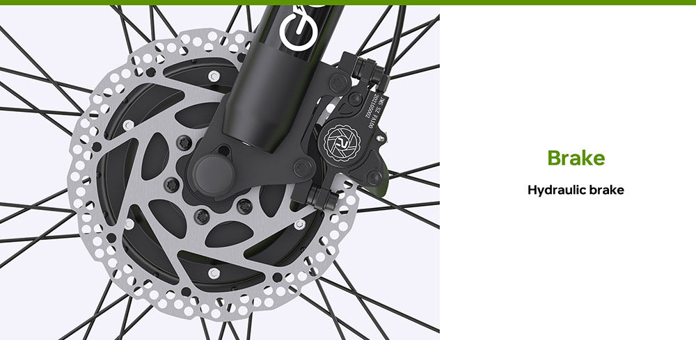 GOGOBEST GF700 26*4.0 Inch Fat Tire Electric Mountain Bike 48V 18.2Ah Battery 2*500W Dual Motor Max Speed 50Km/h 70KM Power-Assisted Range Max Load 200KG IP54 Waterproof Hydraulic Disc Brake MTB Bike 6061 Aluminum Alloy Frame - Black Green
