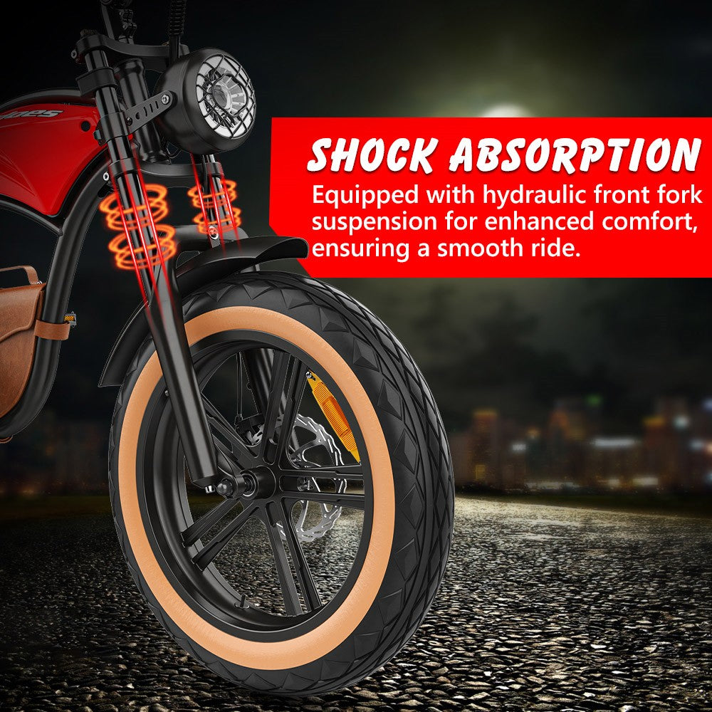 Hidoes B10 Electric Bike, 1000W Motor, 48V 13Ah Battery, 20 x4