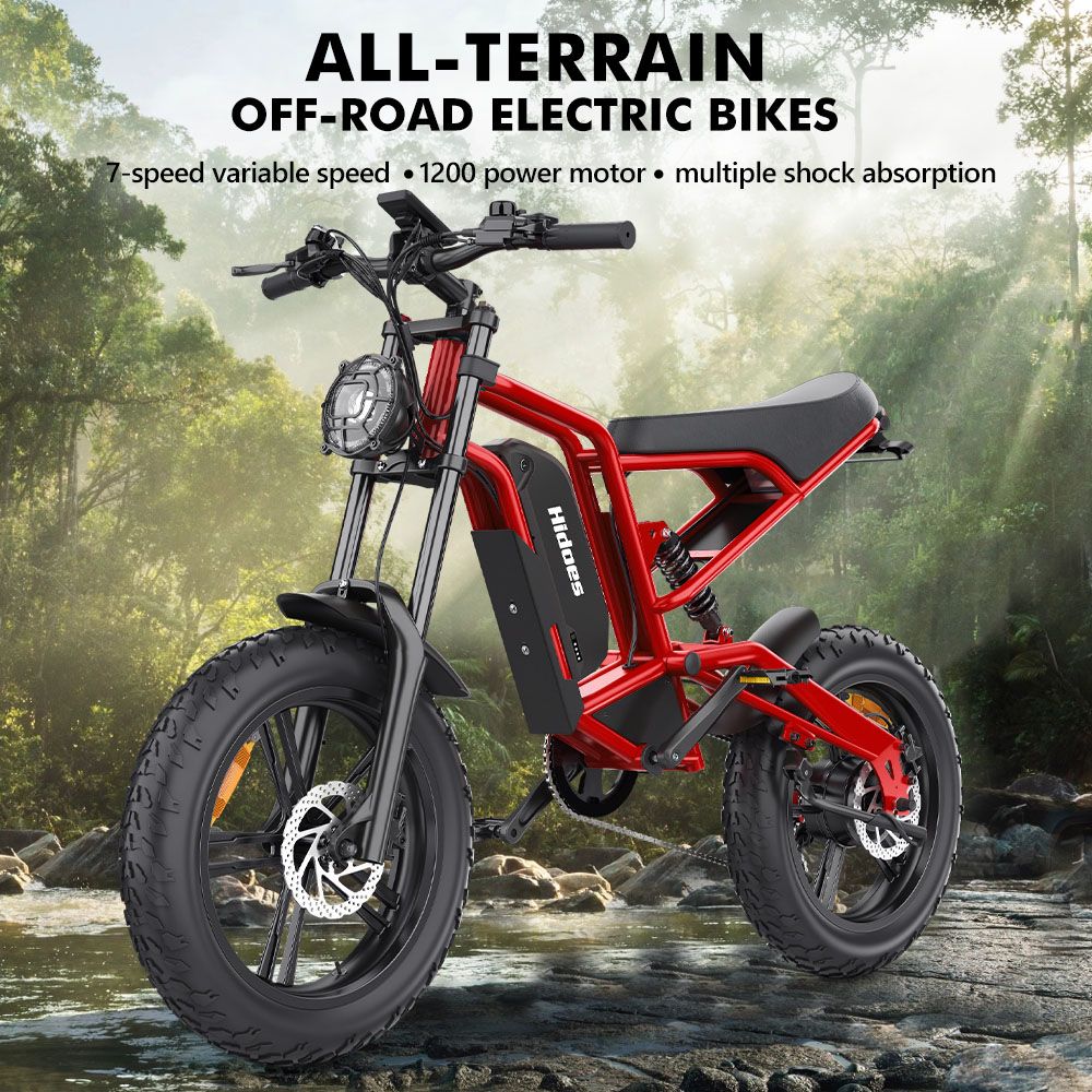 Hidoes B6 Electric Bike, 1200W Motor, 48V 15Ah Battery, 20