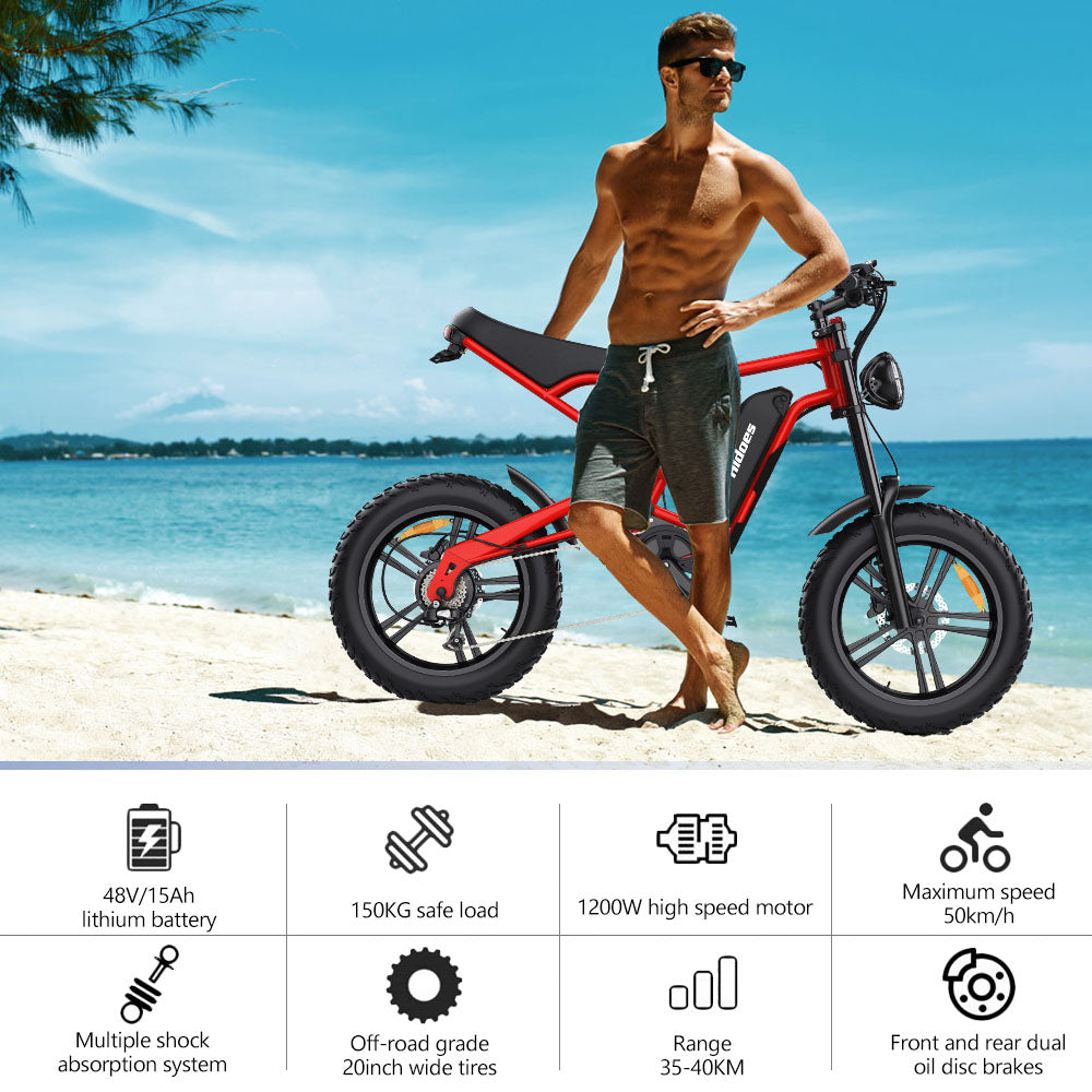 Hidoes B6 Electric Bike, 1200W Motor, 48V 15Ah Battery, 20