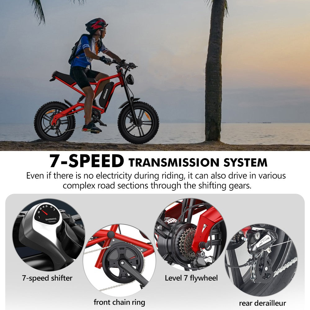 Hidoes B6 Electric Bike, 1200W Motor, 48V 15Ah Battery, 20
