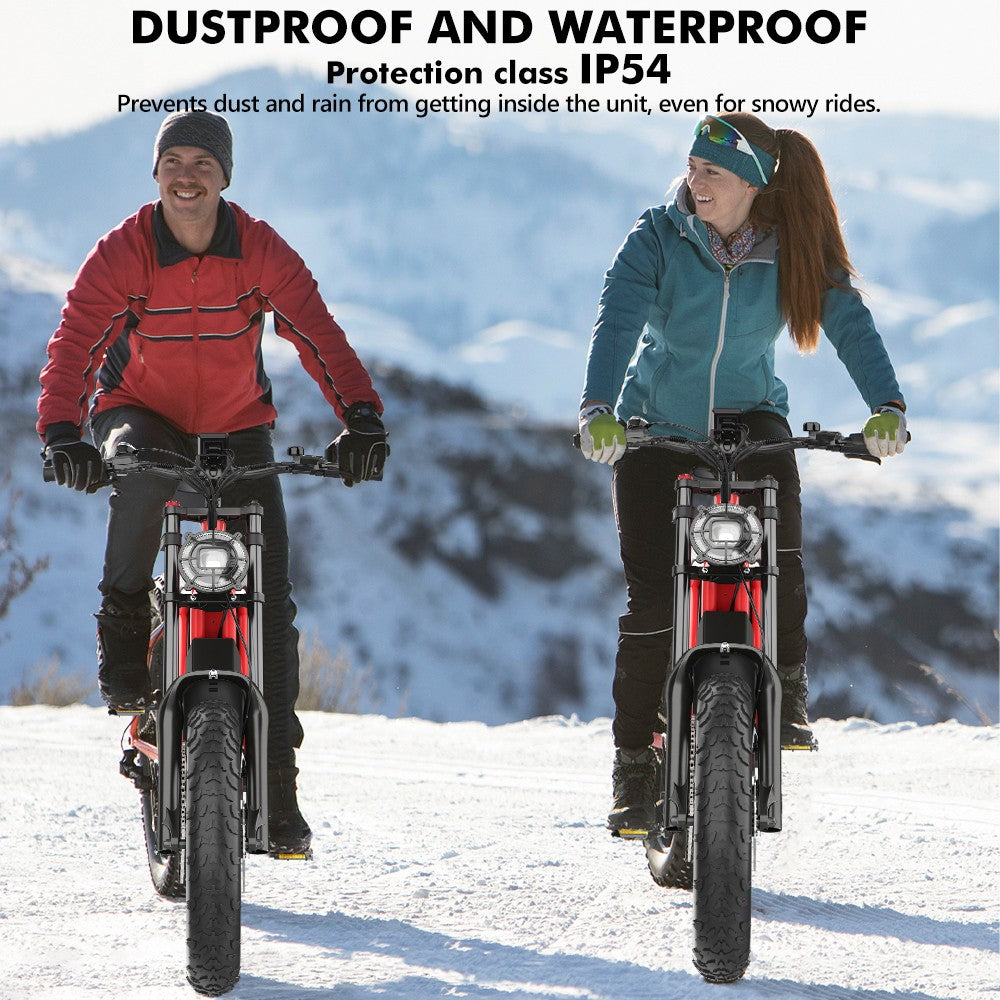 Hidoes B6 Electric Bike, 1200W Motor, 48V 15Ah Battery, 20