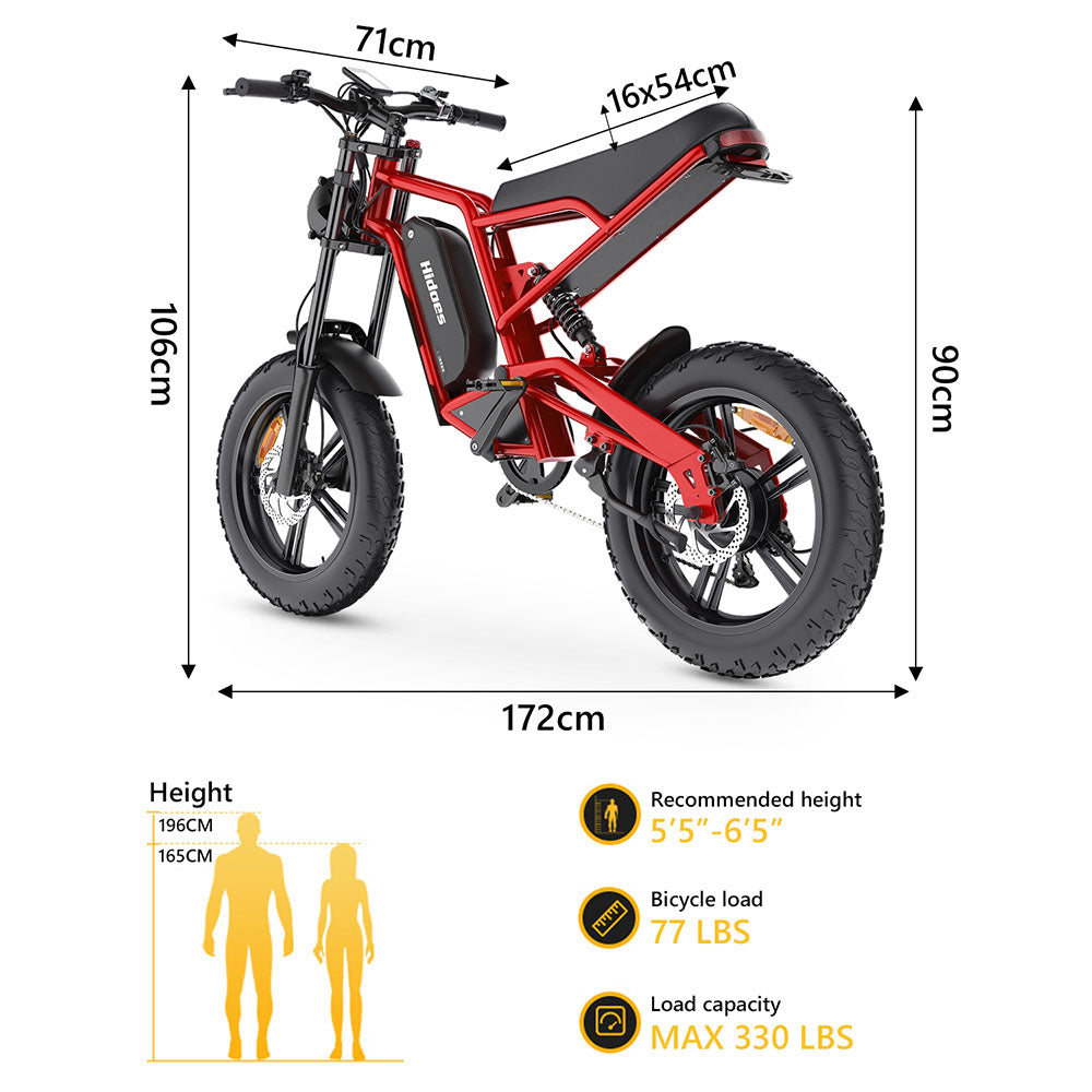 Hidoes B6 Electric Bike, 1200W Motor, 48V 15Ah Battery, 20